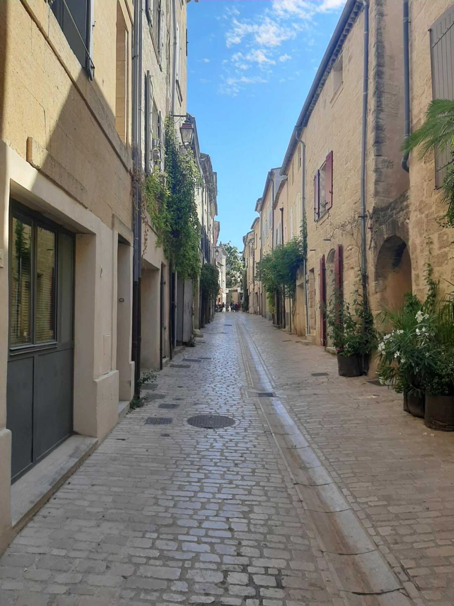 Appartement Avec Grand Jardin Et Parking, Uzes Ngoại thất bức ảnh
